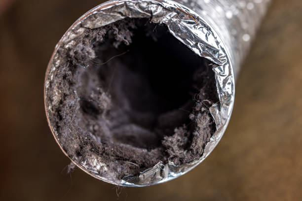 Best Duct Cleaning for Offices  in Manasquan, NJ